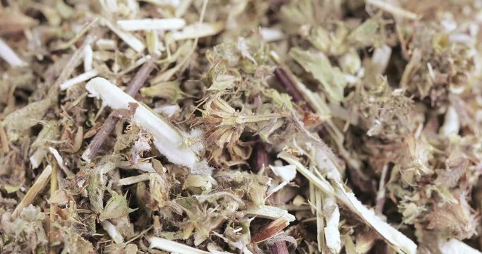 Motherwort grass in bulk