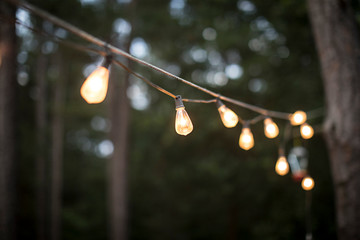 String of patio lights glowing warmly at dusk in the forest