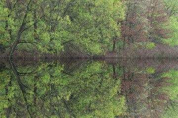 Fototapeta na wymiar Spring landscape of the shoreline of Crooked Lake with mirrored reflections in calm water, Barry County, Michigan, USA