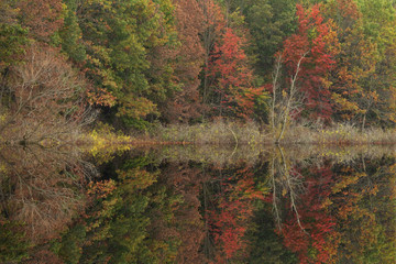 Autumn landscape of the shoreline of Crooked Lake with mirrored reflections in calm water, Barry County, Michigan, USA