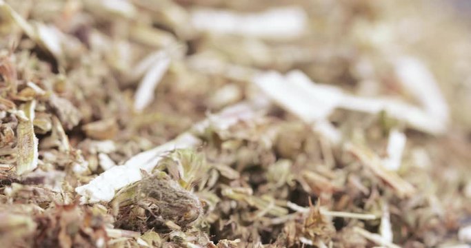 Motherwort grass in bulk