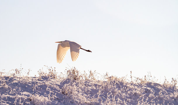 Snow in the mountains, Romania