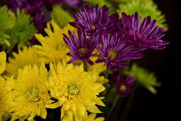Yellow and Purple Mum Flower Bunch