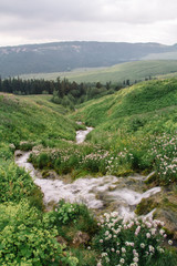 Fototapeta na wymiar The source of the Molochka river is the Lagonaki plateau, flowing into the Kurjips.