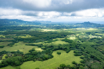 Obraz premium Aerial view of Kauai's lush colorful interior landscape. Monkey pod trees dot the landscape.