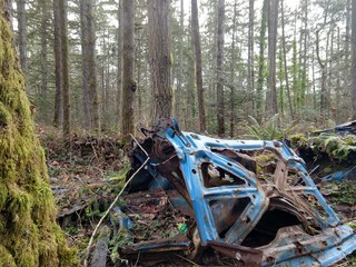 abandoned old car in the forest