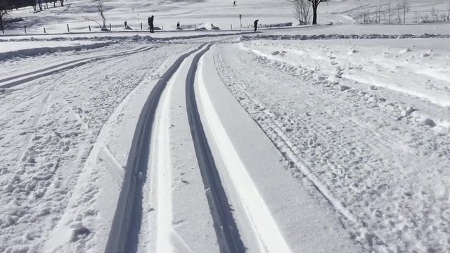 Cross country skiier going downhill on a track. Austria, Europe.