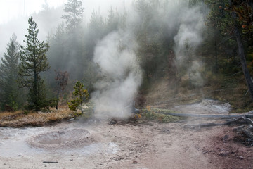 Naklejka na ściany i meble Steam vent in Yellowstone National Park