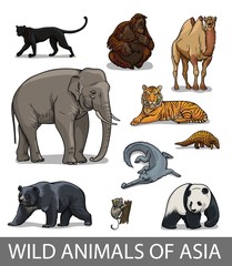Set of wild asian animals in cartoon style. Educational zoology illustration, coloring book picture. © VerAtro