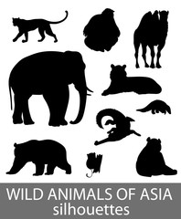 Set of wild asian animals silhouettes. Educational zoology illustration, activity book picture. © VerAtro