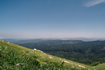 View of the mountain meadow and mountain. Beautiful meadow in a blue haze.