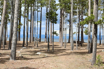 Fototapeta premium Lacke Tahoe 2
