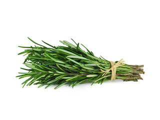Fresh rosemary bunch isolated on white background. Spicy and medicinal herbs.