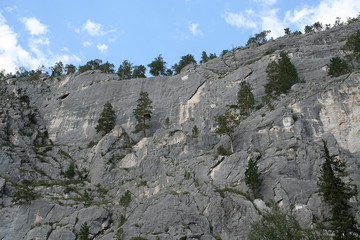 Sheer cliffs with green trees