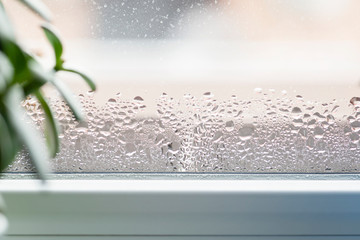 Selective focus on water condensation on window glass. Humidity in the house. Home moisture. - obrazy, fototapety, plakaty