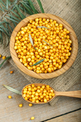 raw sea buckthorn in a plate
