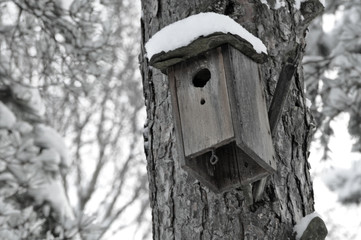Birdhouse