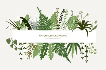 Tuinposter Horizontal floral frame. Tropical foliage and branches. Template for banner, card, poster, greetings, header. Vector flat illustration. © sweet kiwi