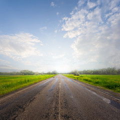 wet asphalt road after a rain in a light of sun