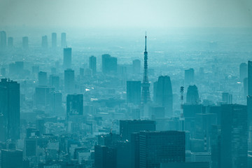Plakat dust during daytime in a very polluted city - in this case Tokyo, Japan. Cityscape of buildings with bad weather from Fine Particulate Matter. Air pollution.