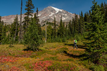 Woman Hikes Along Trail through Fall Field