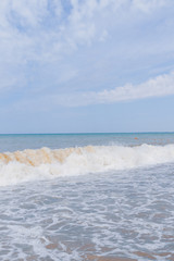 The sea shore at summer Sunny clear day in early summer