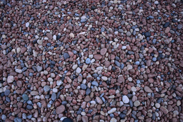 texture of small round colored stones