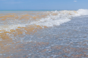 The sea shore at summer Sunny clear day in early summer