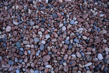 texture of small round colored stones