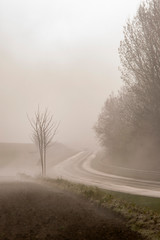 Obraz na płótnie Canvas France. Picardie. Somme. Route de campagne dans la brume. Country road in the mist