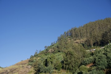 Forest railway with green trees ,tea garden, blue sky, view point , Landscape, mountain, hill village, long view of the mountain , outdoor and beauty of the nature 