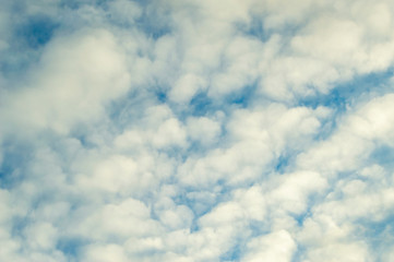 Altocumulus Clouds on a blue sky.