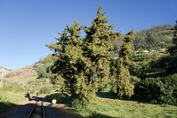 Fototapeta na wymiar Forest railway with green trees ,tea garden, blue sky, view point , Landscape, mountain, hill village, long view of the mountain , outdoor and beauty of the nature 