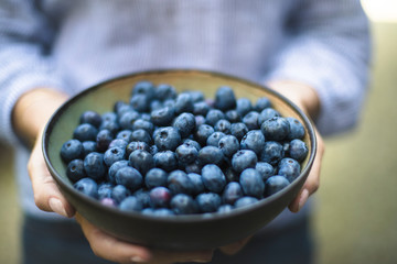 bowl of blueberries held by a woman.jpg, bowl of blueberries held by a woman 