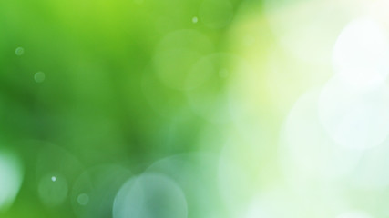Fototapeta premium Blur water drops on abstract green background.