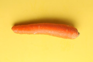 delicious carrot in color background
