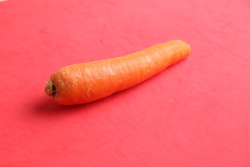 delicious carrot in color background