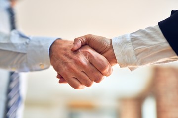 Two middle age business workers working together shaking hands at the office