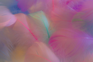 Beautiful abstract orange purple and blue feathers on white background and soft white pink feather texture on colorful pattern, colorful background, colorful feather