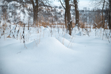Winter park in the snow in the evening