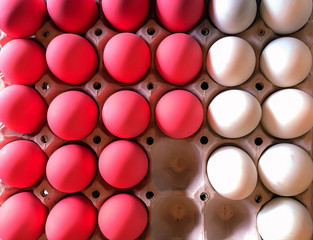 Twocolor egg background, Century Eggs in market Thailand Chiangmai, Twocolor egg background., brown and pink egg for food.