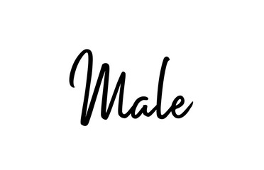 Fototapeta premium Male capital word city typography hand written text modern calligraphy lettering
