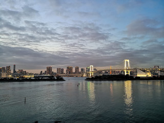 Naklejka premium Tokyo landscape with high buildings