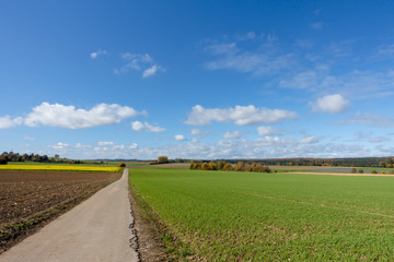Feldflur im Herbst Straße links