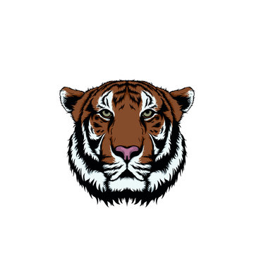 tiger face illustration isolated on white background