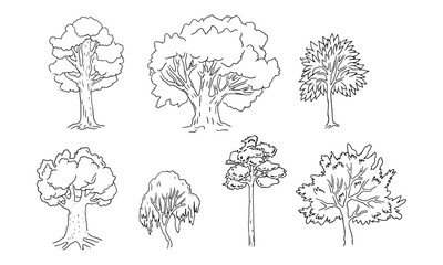 Set of different trees. Sketch style, black contours . Vector illustration