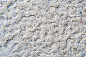 paper texture close up 11