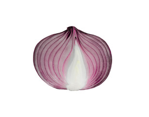 red onion on a white background, isolate. Purple onion
