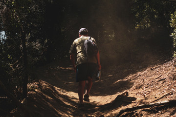 man walking on his back along a path between trees