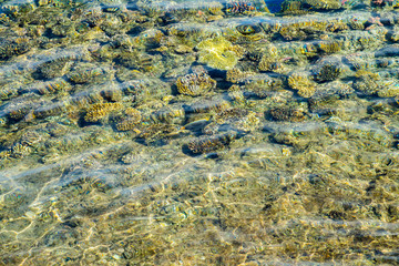 aerial landscape top view of Red sea bottom with coral reefs through aquamarine transparent water surface south tropical nature background photography. Underwater coral reef on the red sea